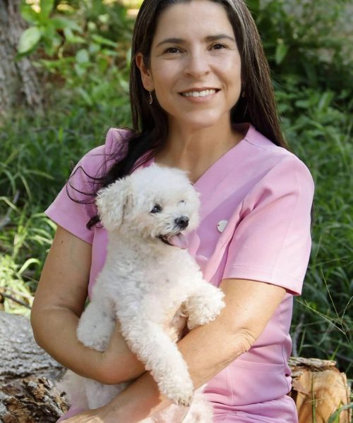 WhatsApp Image 2026-03-27 at 11.55.44